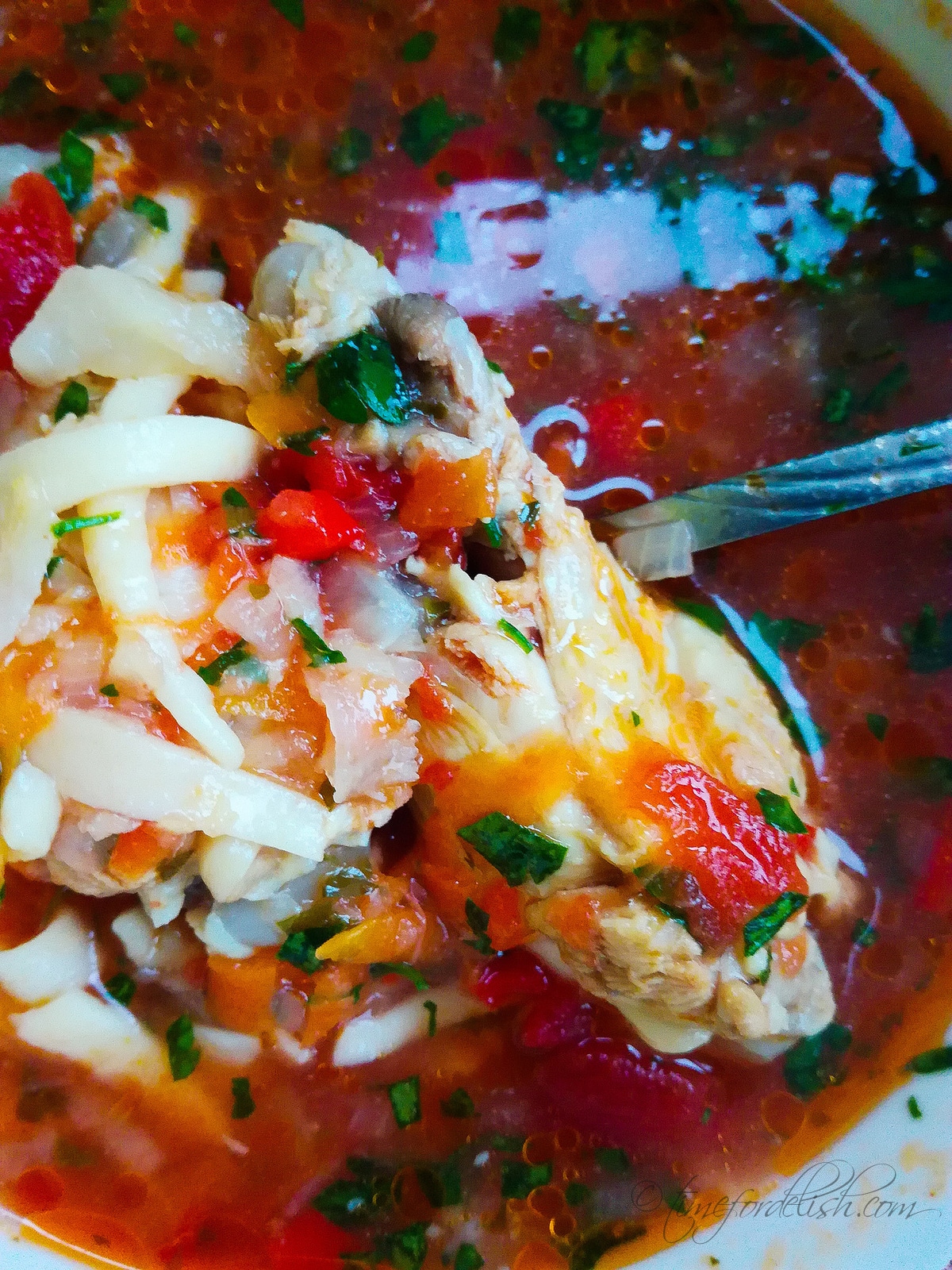 chicken tomato vegetable soup
